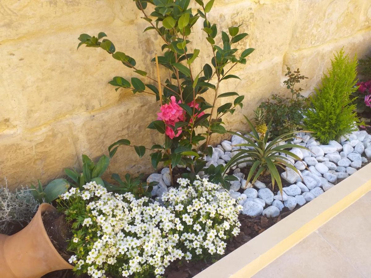 Piccolo Paradiso Bed & Breakfast